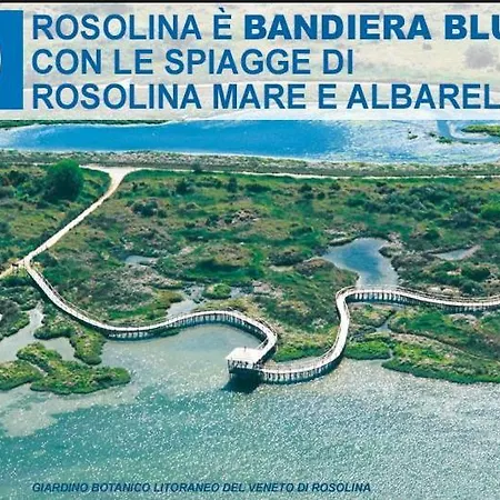 Dino * Rosolina Mare